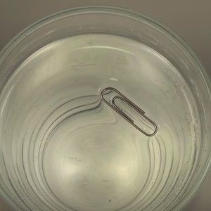 Meet your Posher, Lynne